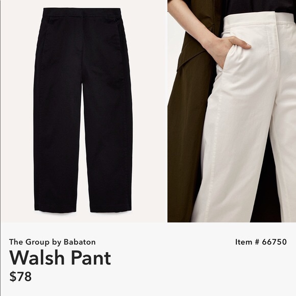 Babaton Pants - Aritzia Babaton Walsh pant in black